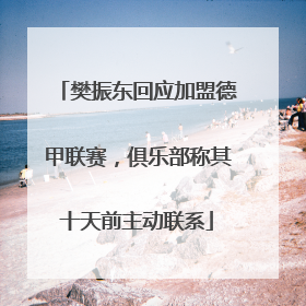 樊振东回应加盟德甲联赛，俱乐部称其十天前主动联系