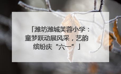 潍坊潍城芙蓉小学：童梦跃动展风采，艺韵缤纷庆“六一”