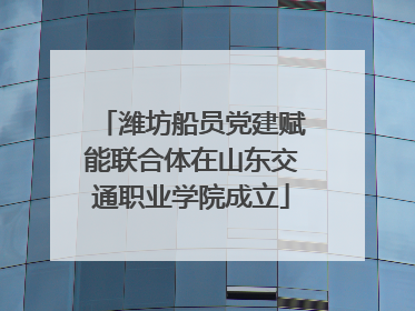 潍坊船员党建赋能联合体在山东交通职业学院成立