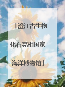 澄江古生物化石亮相国家海洋博物馆