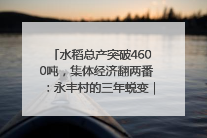 水稻总产突破4600吨，集体经济翻两番：永丰村的三年蜕变｜您牵挂的四川