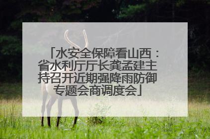 水安全保障看山西：省水利厅厅长龚孟建主持召开近期强降雨防御专题会商调度会