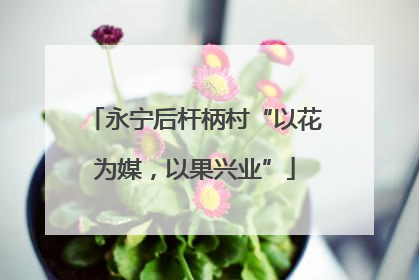 永宁后杆柄村“以花为媒，以果兴业”