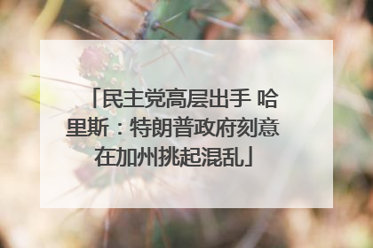 民主党高层出手 哈里斯：特朗普政府刻意在加州挑起混乱