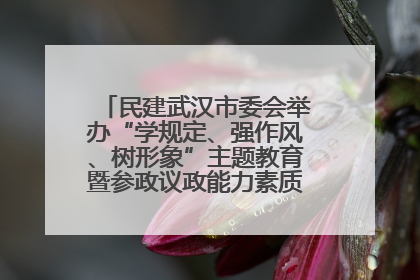 民建武汉市委会举办“学规定、强作风、树形象”主题教育暨参政议政能力素质提升培训班