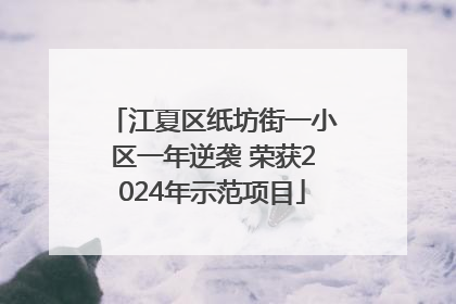 江夏区纸坊街一小区一年逆袭 荣获2024年示范项目