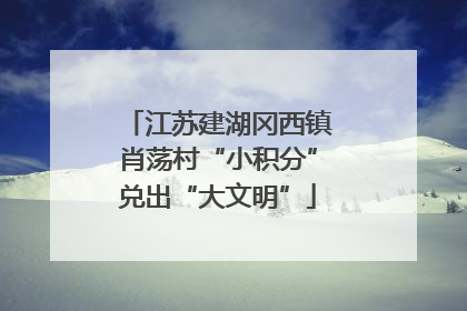 江苏建湖冈西镇肖荡村“小积分”兑出“大文明”