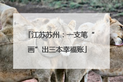 江苏苏州：一支笔“画”出三本幸福账