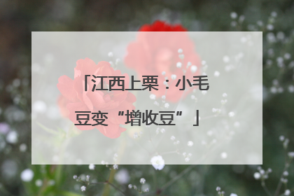 江西上栗：小毛豆变“增收豆”