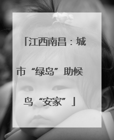 江西南昌：城市“绿岛”助候鸟“安家”