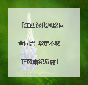 江西深化风腐同查同治 坚定不移正风肃纪反腐