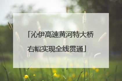 沁伊高速黄河特大桥右幅实现全线贯通
