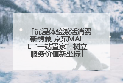沉浸体验激活消费新想象 京东MALL“一站置家”树立服务价值新坐标