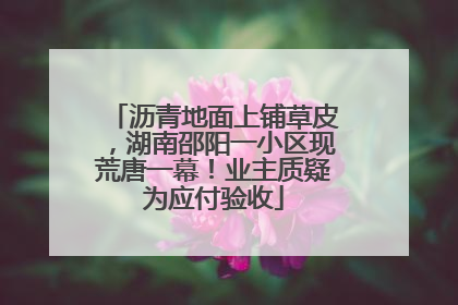 沥青地面上铺草皮，湖南邵阳一小区现荒唐一幕！业主质疑为应付验收