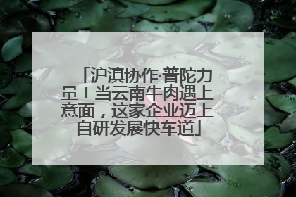 沪滇协作·普陀力量〡当云南牛肉遇上意面，这家企业迈上自研发展快车道