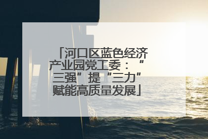河口区蓝色经济产业园党工委：“三强”提“三力”赋能高质量发展