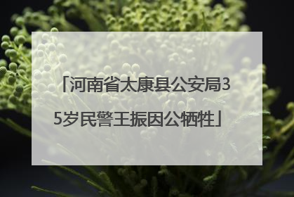 河南省太康县公安局35岁民警王振因公牺牲