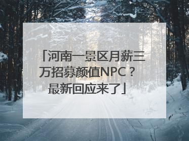 河南一景区月薪三万招募颜值NPC？最新回应来了