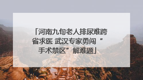 河南九旬老人排尿难跨省求医 武汉专家勇闯“手术禁区”解难题