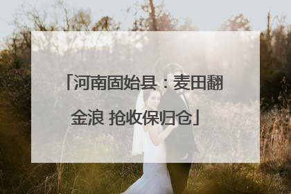河南固始县：麦田翻金浪 抢收保归仓