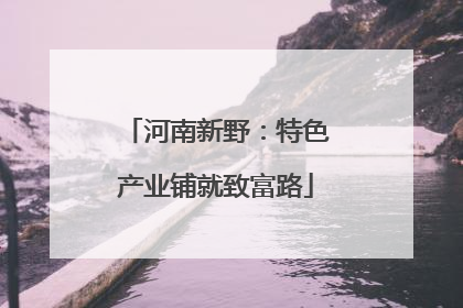 河南新野：特色产业铺就致富路