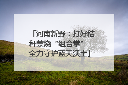 河南新野：打好秸秆禁烧“组合拳” 全力守护蓝天沃土