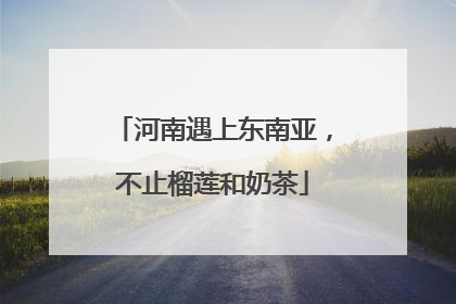 河南遇上东南亚，不止榴莲和奶茶