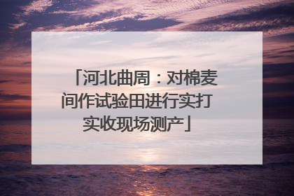 河北曲周：对棉麦间作试验田进行实打实收现场测产