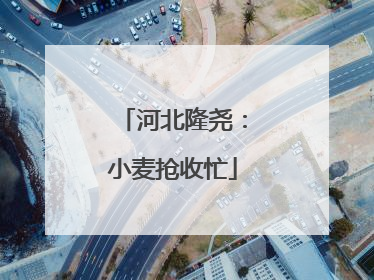 河北隆尧：小麦抢收忙