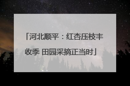 河北顺平：红杏压枝丰收季 田园采摘正当时