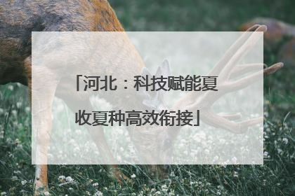 河北：科技赋能夏收夏种高效衔接