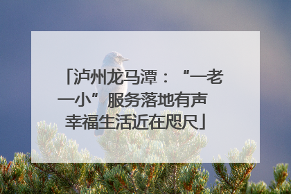 泸州龙马潭：“一老一小”服务落地有声 幸福生活近在咫尺