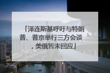 泽连斯基呼吁与特朗普、普京举行三方会谈，美俄暂未回应