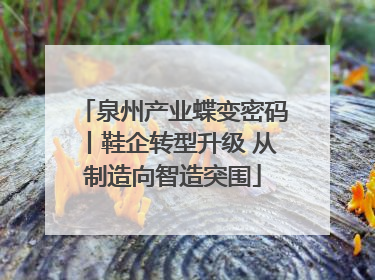 泉州产业蝶变密码丨鞋企转型升级 从制造向智造突围