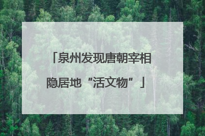 泉州发现唐朝宰相隐居地“活文物”