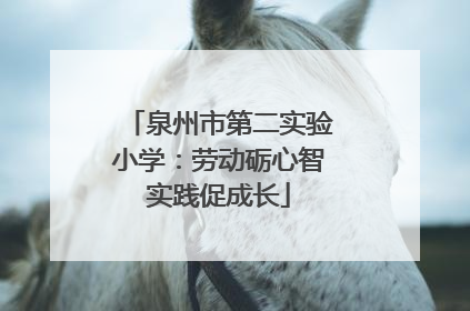 泉州市第二实验小学：劳动砺心智实践促成长