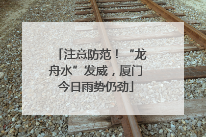 注意防范！“龙舟水”发威，厦门今日雨势仍劲