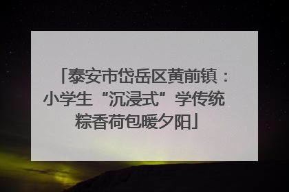 泰安市岱岳区黄前镇：小学生“沉浸式”学传统 粽香荷包暖夕阳