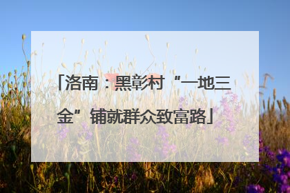 洛南：黑彰村“一地三金”铺就群众致富路