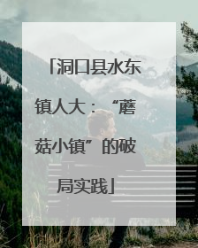 洞口县水东镇人大：“蘑菇小镇”的破局实践