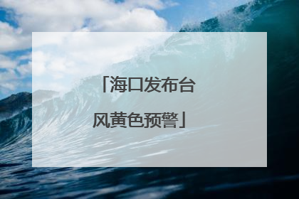 海口发布台风黄色预警