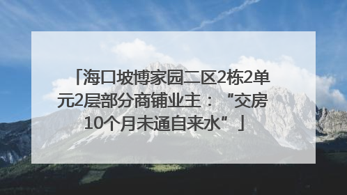 海口坡博家园二区2栋2单元2层部分商铺业主：“交房10个月未通自来水”