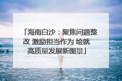 海南白沙：聚焦问题整改 激励担当作为 绘就高质量发展新图景