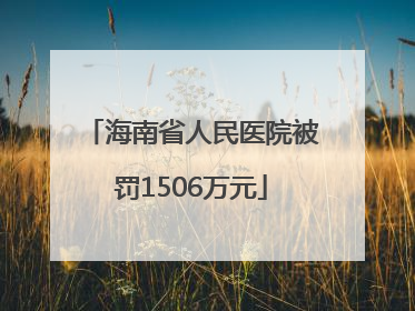 海南省人民医院被罚1506万元