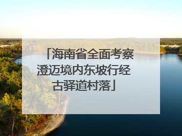 海南省全面考察澄迈境内东坡行经古驿道村落
