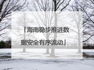 海南稳步推进数据安全有序流动