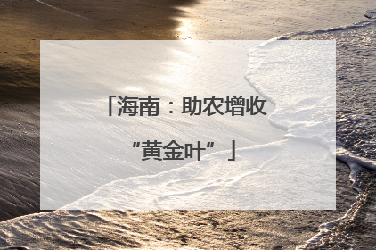海南：助农增收 “黄金叶”