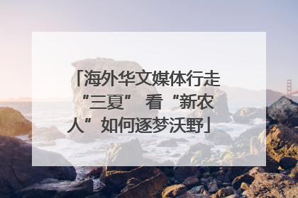 海外华文媒体行走“三夏” 看“新农人”如何逐梦沃野