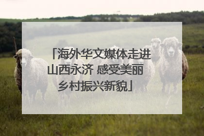 海外华文媒体走进山西永济 感受美丽乡村振兴新貌