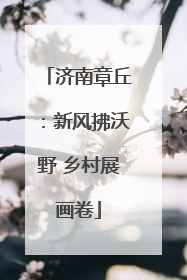 济南章丘：新风拂沃野 乡村展画卷